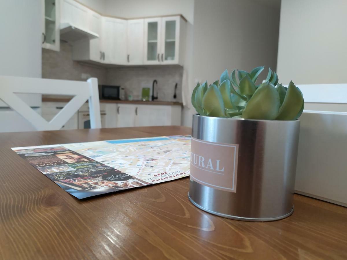 Kate & Jenny Apartments - Cosy Place In The City Center براتسيلافا المظهر الخارجي الصورة